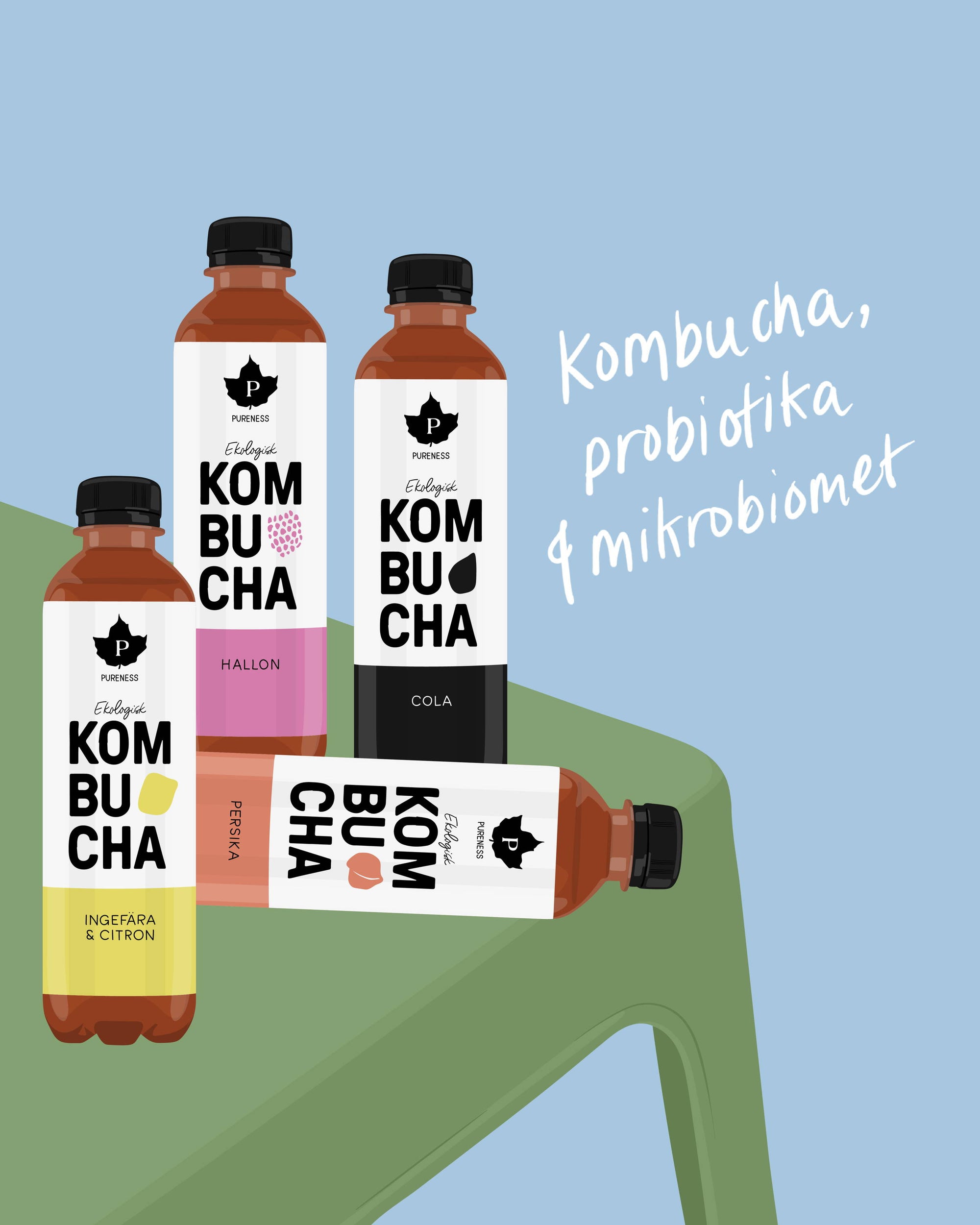 Kombucha, probiotika & mikrobiomer